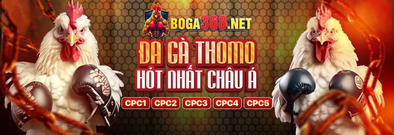 Hình ảnh chính của trang thông báo BL88